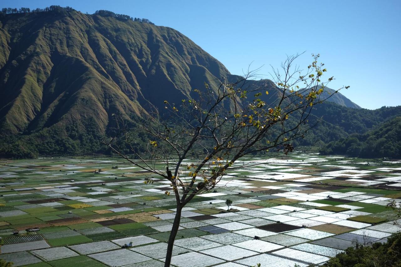 Rinjani Green Park Syariah Hotel ซัมบาลัง ลาวัง ภายนอก รูปภาพ